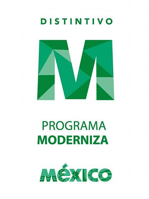 Moderniza